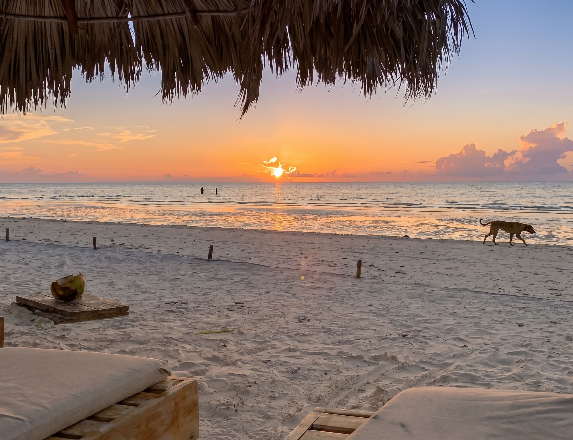 Mix Caribeño (Golfo de Morrosquillo)